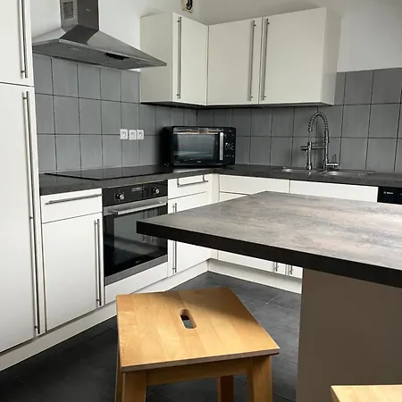 Appartement Alexander With Parking And Terrace Colmar