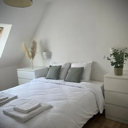 Alexander With Parking And Terrace * كولمار