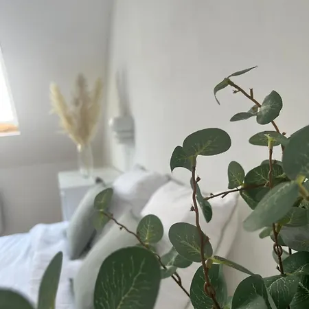 Alexander With Parking And Terrace Colmar