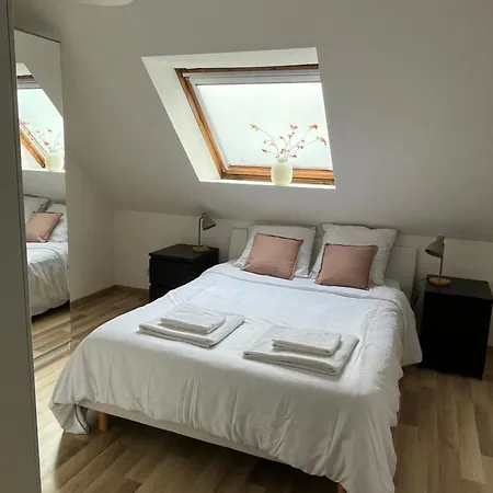 Appartement Alexander With Parking And Terrace Colmar