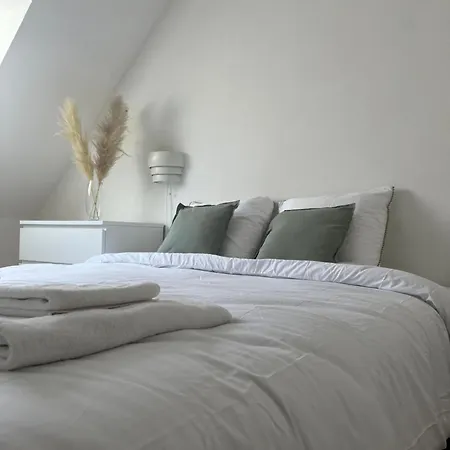 Alexander With Parking And Terrace コルマール