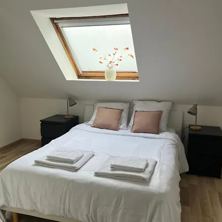 Alexander With Parking And Terrace アパート