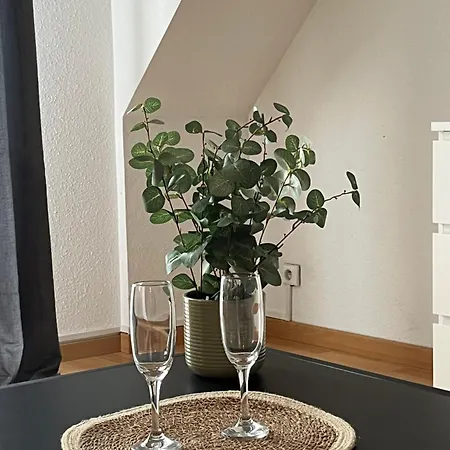 Apartment Alexander With Parking *