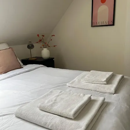 Alexander With Parking And Terrace コルマール