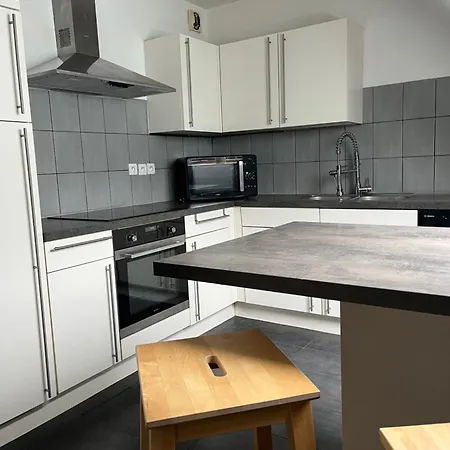 Appartement Alexander With Parking And Terrace Colmar