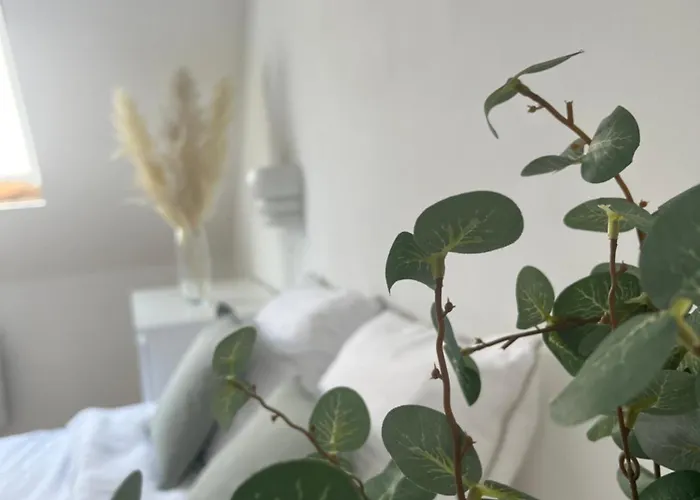 Alexander With Parking And Terrace Colmar